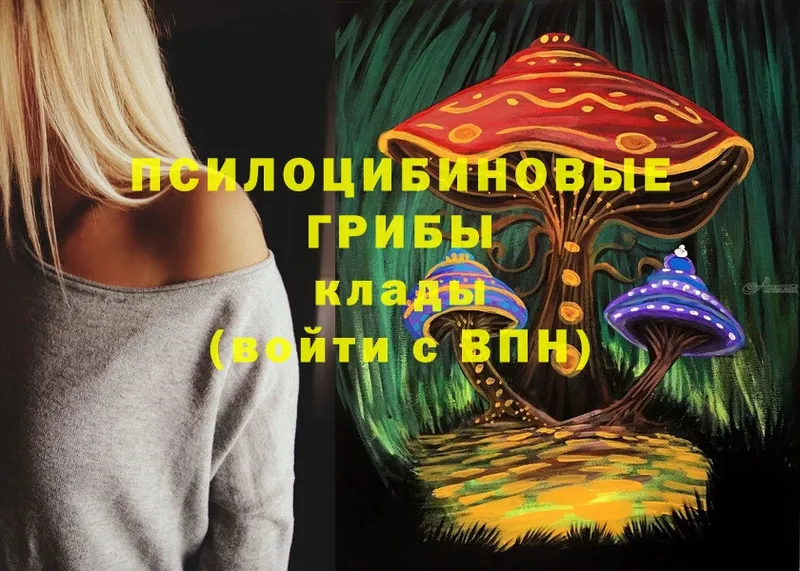 mega как зайти  Тобольск  нарко площадка как зайти  Псилоцибиновые грибы Magic Shrooms 